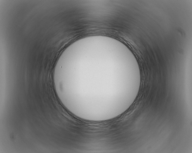 X0000112160325200908070944