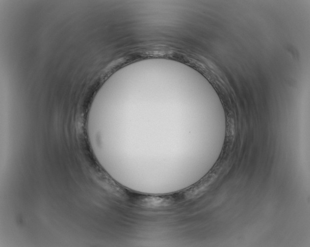 X0000112160326200908070944