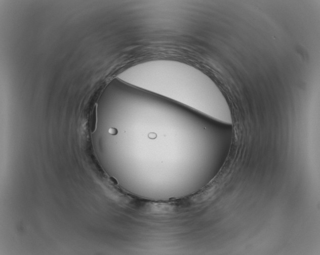 X0000112160327200908070944