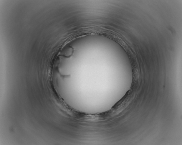 X0000112160328200908070944