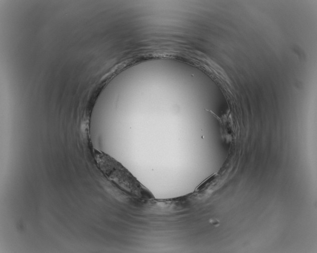 X0000112160329200908070944