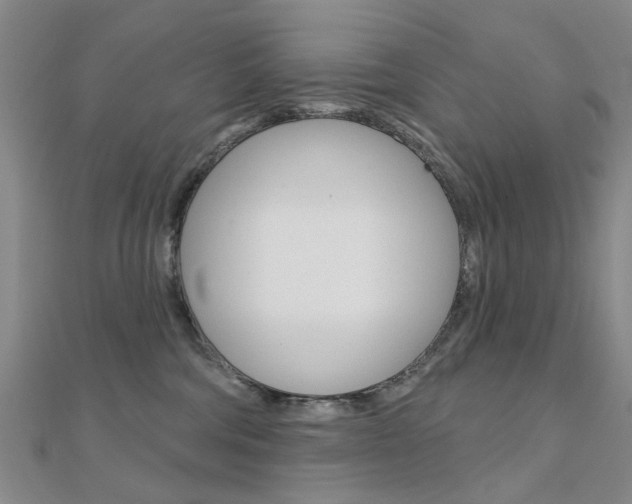 X0000112160330200908070944