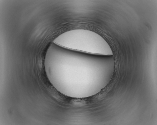 X0000112160331200908070944