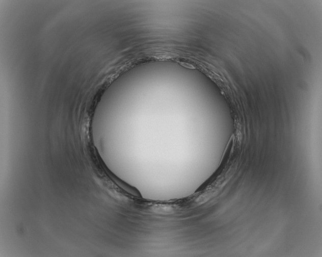 X0000112160332200908070943