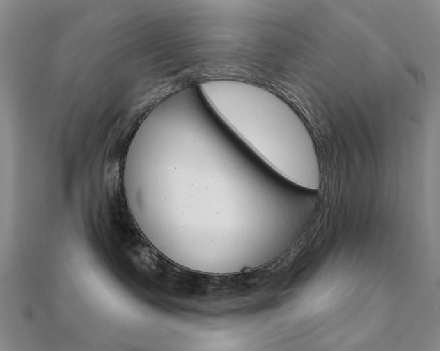 X0000112160335200908070943