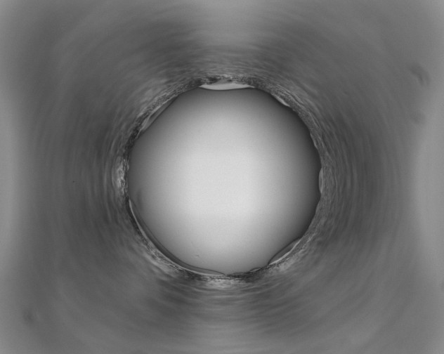 X0000112160336200908070943