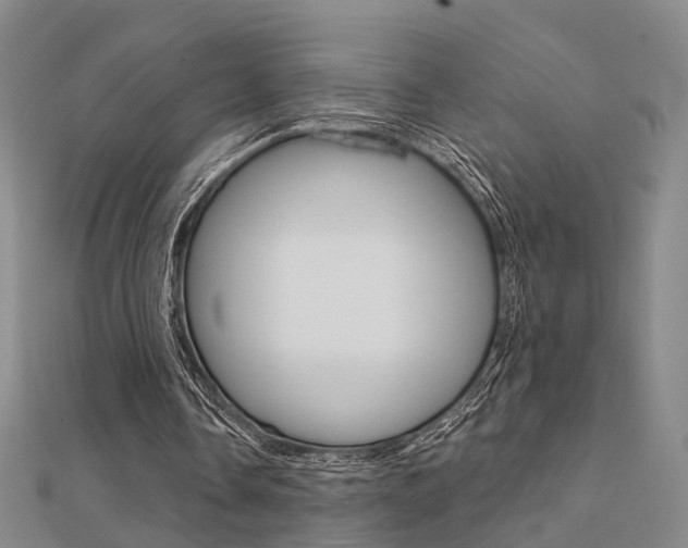X0000112160338200908070943