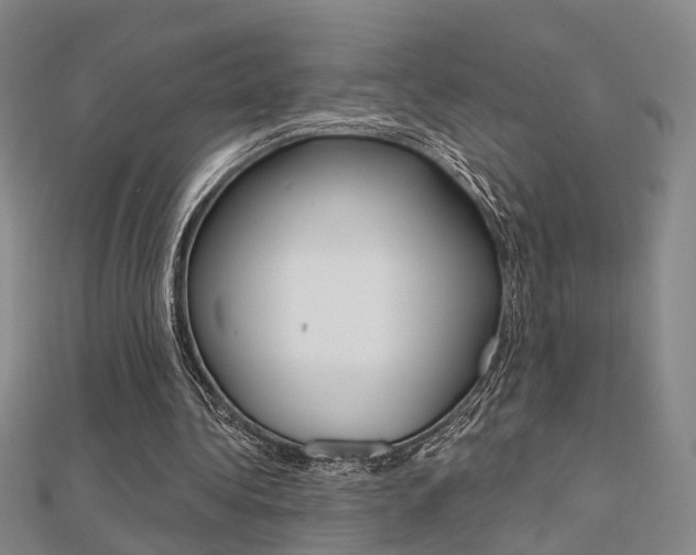 X0000112160340200908070943