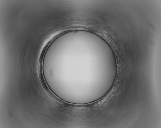 X0000112160342200908070943