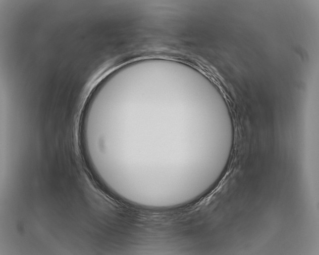 X0000112160344200908070943