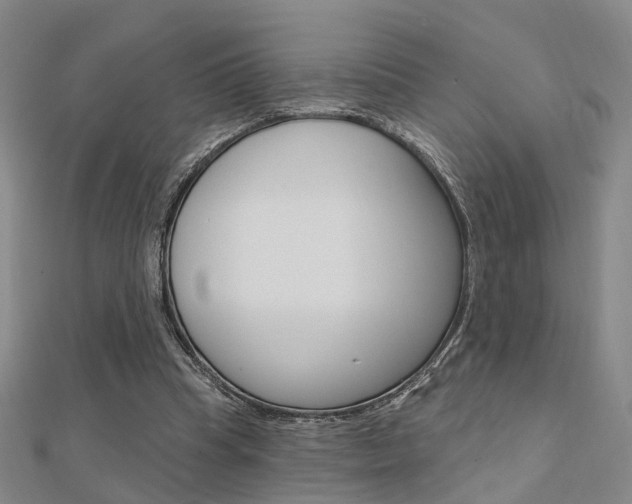 X0000112160345200908070943