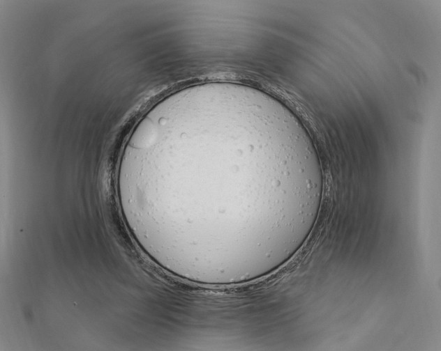 X0000112160347200908070943