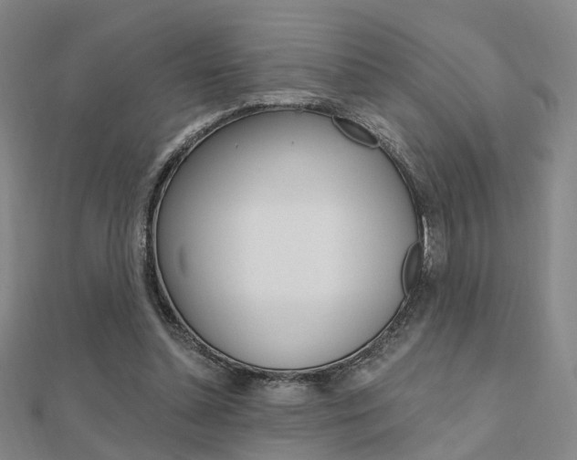 X0000112160348200908070943