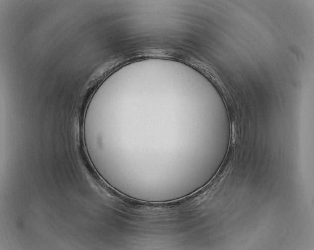 X0000112160349200908070943