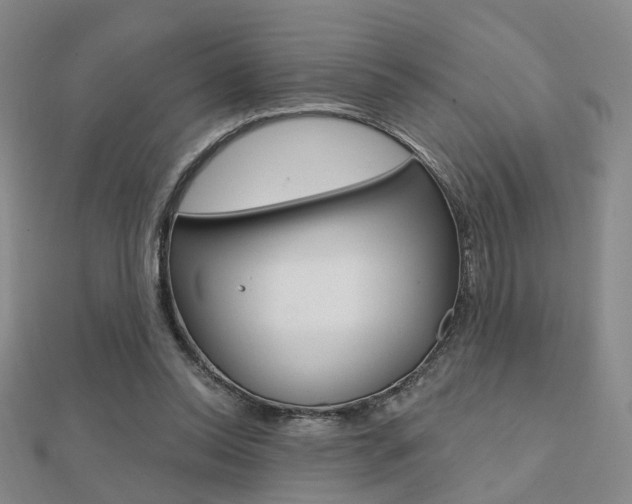 X0000112160350200908070943
