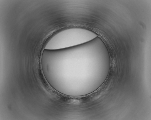 X0000112160352200908070943