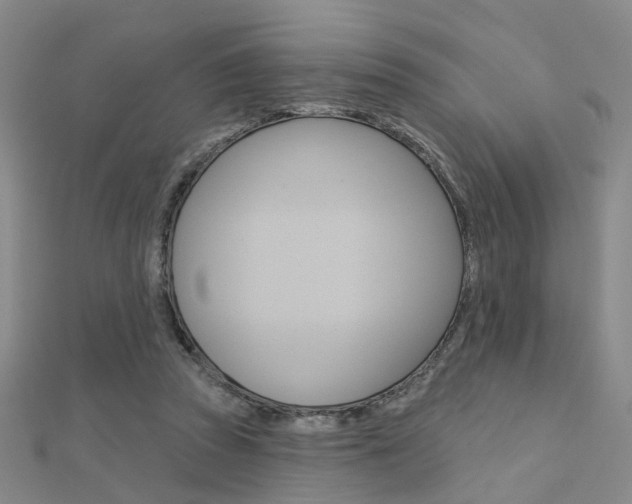 X0000112160353200908070943