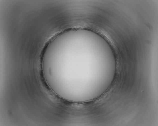 X0000112160354200908070943