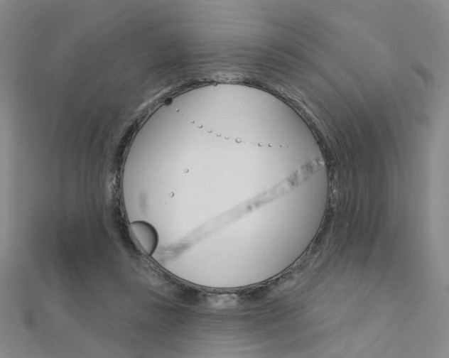X0000112160355200908070943