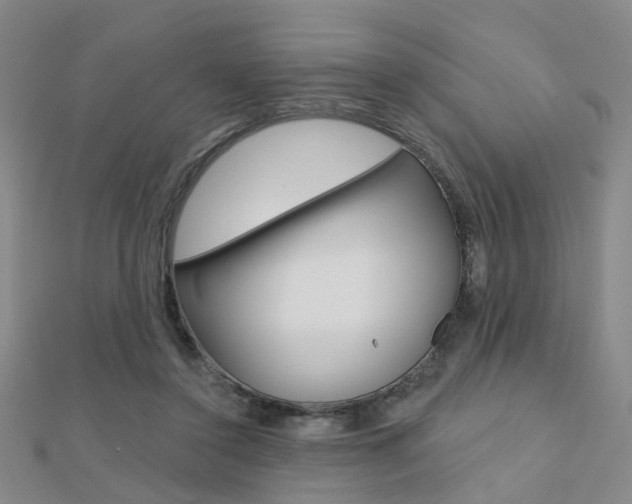 X0000112160356200908070943