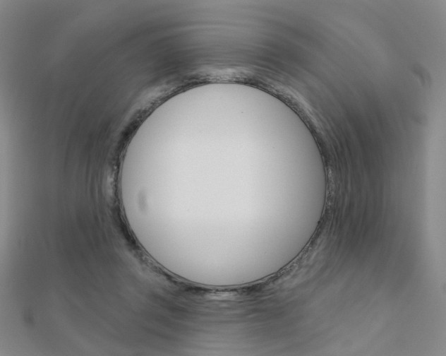 X0000112160357200908070943