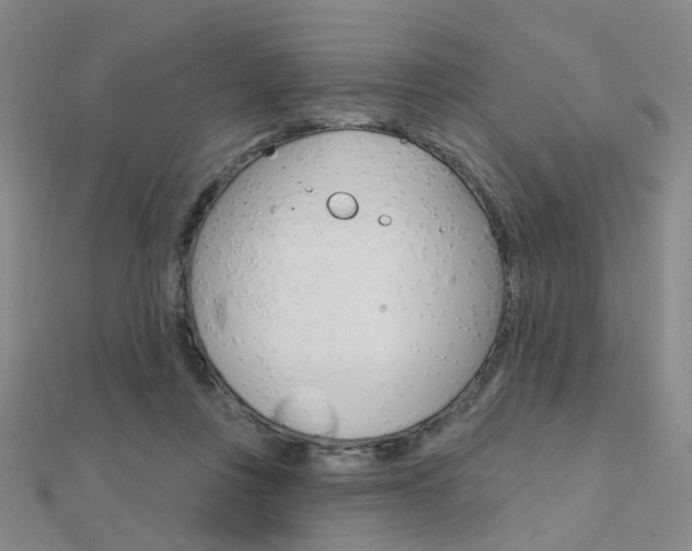 X0000112160359200908070943
