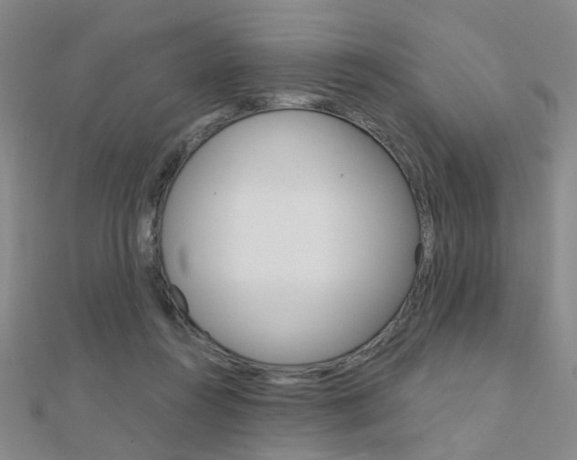 X0000112160360200908070943