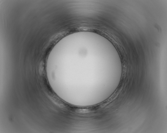 X0000112160361200908070943