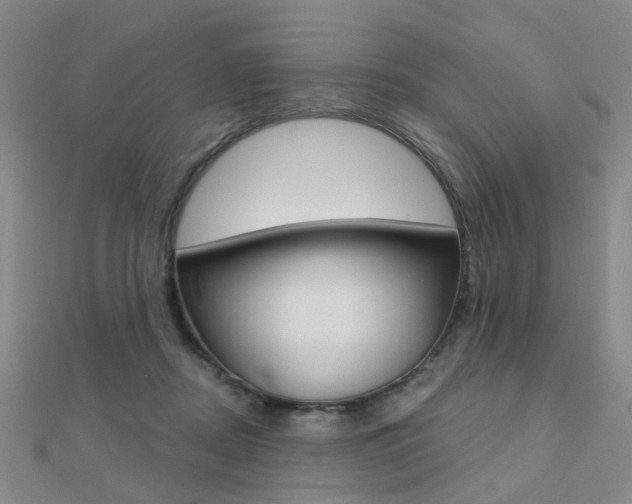 X0000112160362200908070943