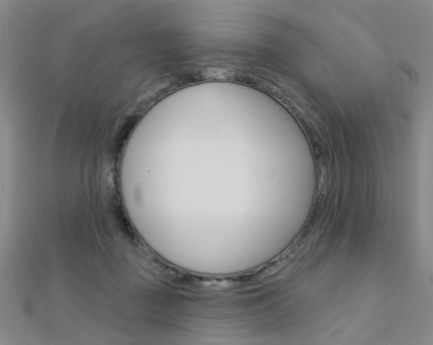 X0000112160363200908070943