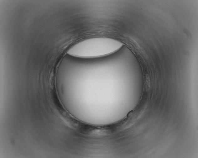 X0000112160364200908070943