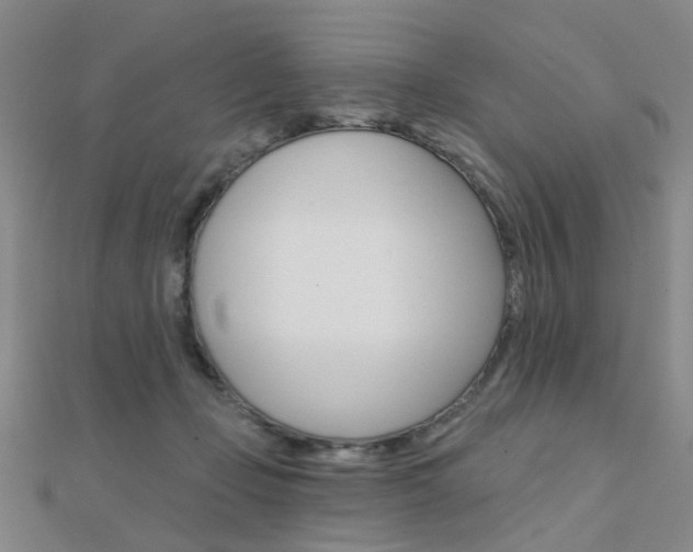 X0000112160365200908070943