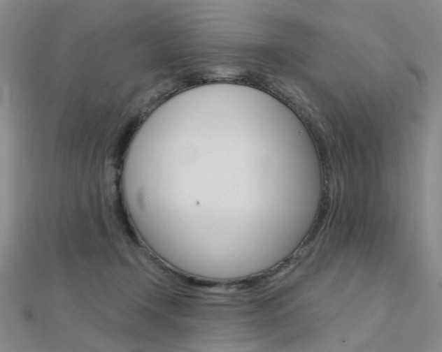 X0000112160366200908070943