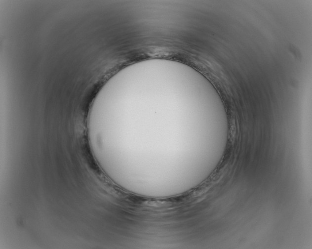 X0000112160367200908070943
