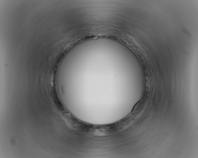 X0000112160368200908070943