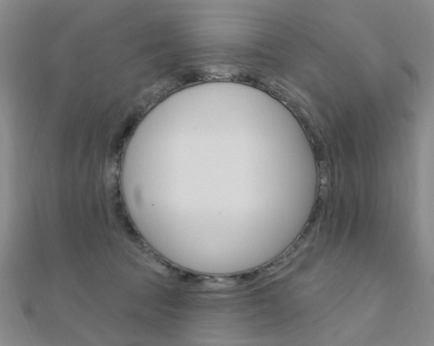 X0000112160369200908070943