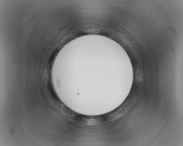 X0000112160370200908070943