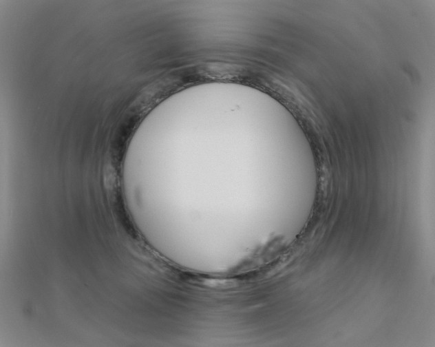 X0000112160371200908070943