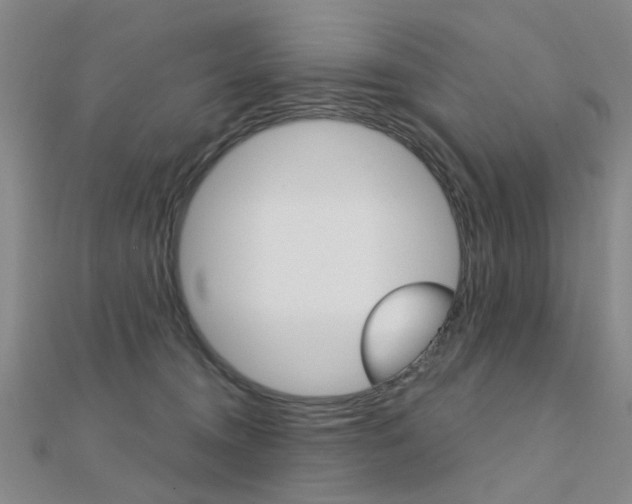 X0000112160372200908070943