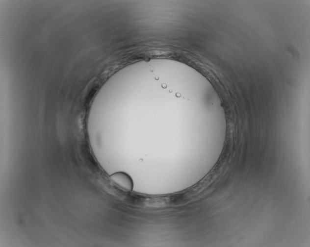 X0000112160373200908070943