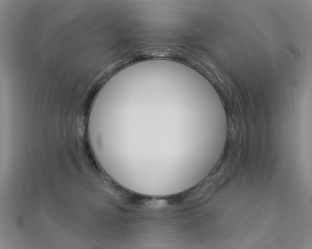 X0000112160374200908070943