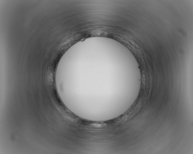 X0000112160375200908070943