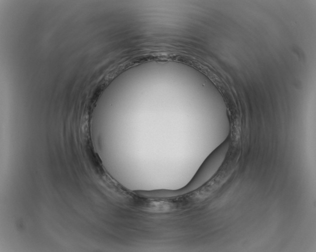 X0000112160376200908070943