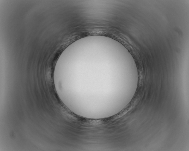 X0000112160377200908070943