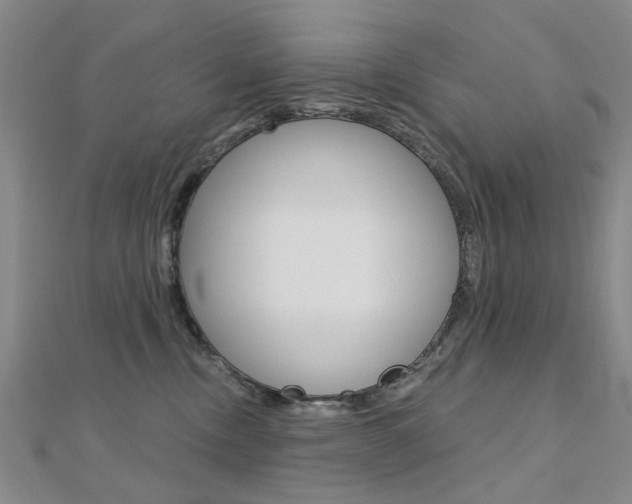 X0000112160378200908070943