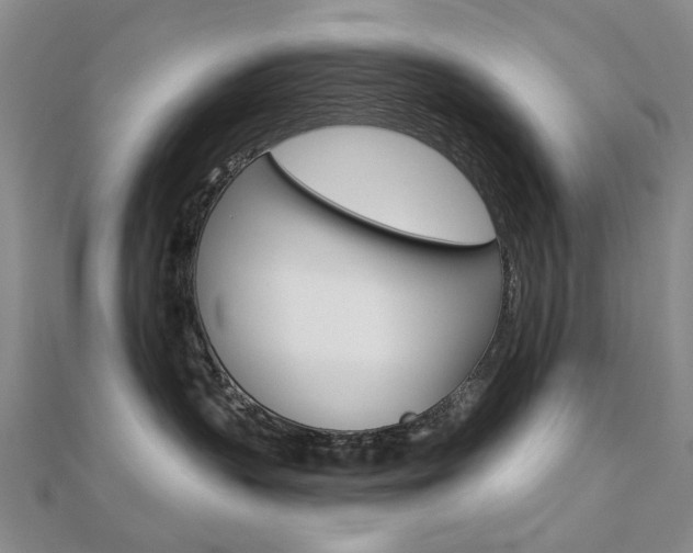 X0000112160383200908070943