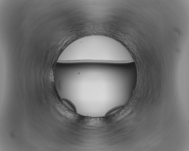 X0000112160384200908070943