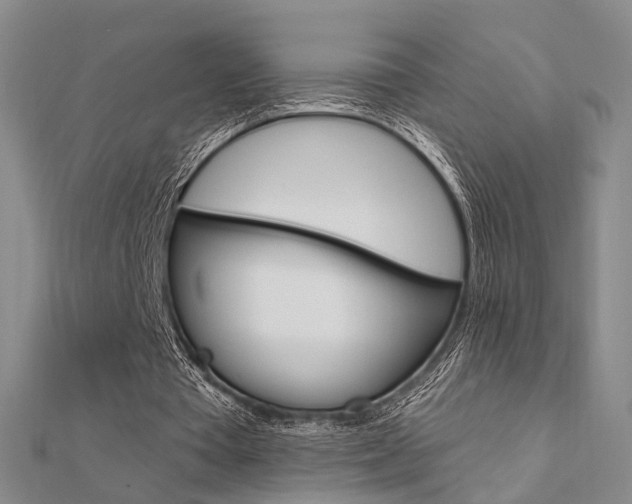X0000112160385200908070943