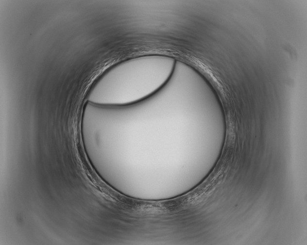 X0000112160386200908070943