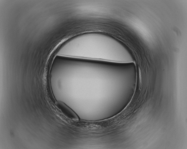 X0000112160387200908070943